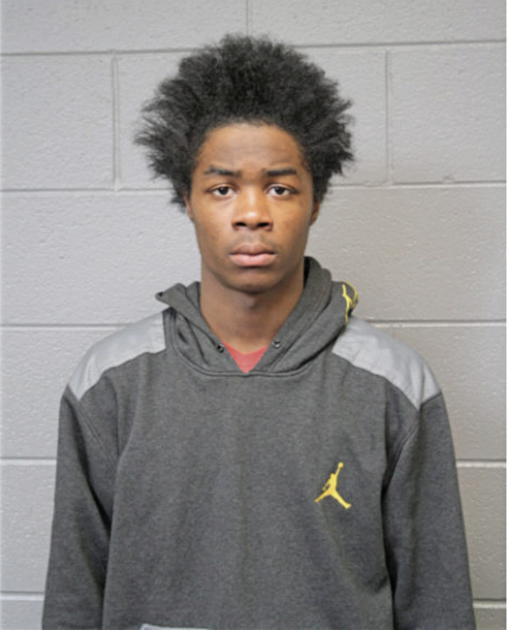 TYRONE J JOHNSON, Cook County, Illinois