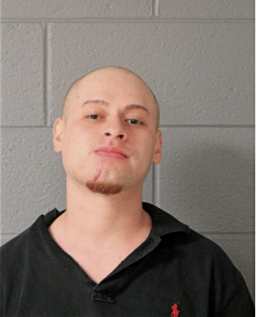 FABIAN R MAGDALENO, Cook County, Illinois
