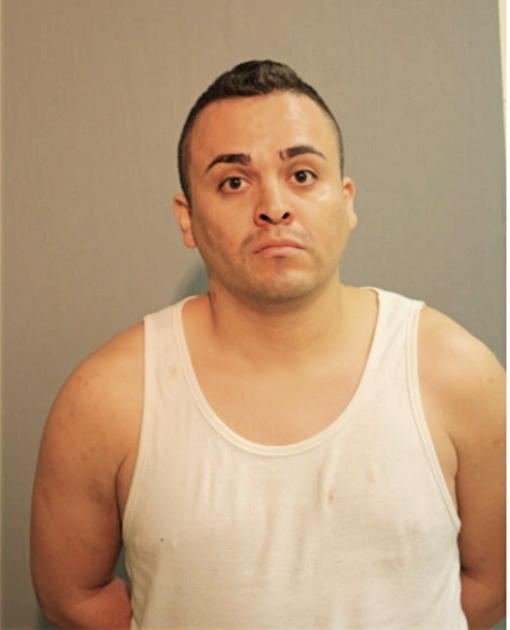 IVAN MALDONADO, Cook County, Illinois