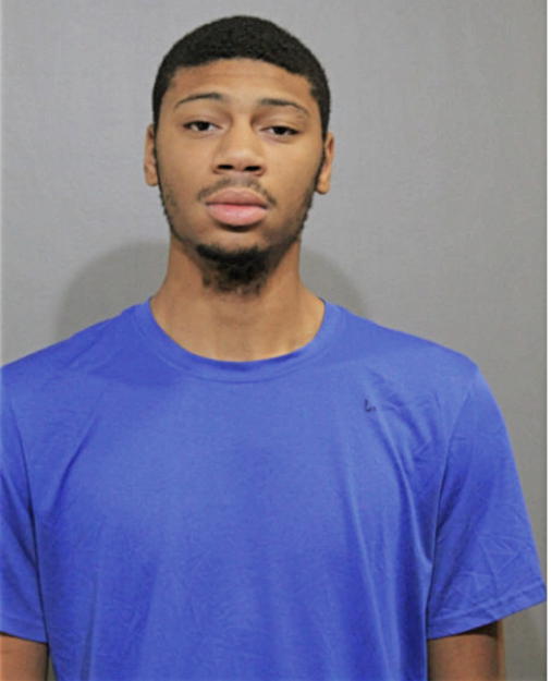MICHAEL J MASON, Cook County, Illinois