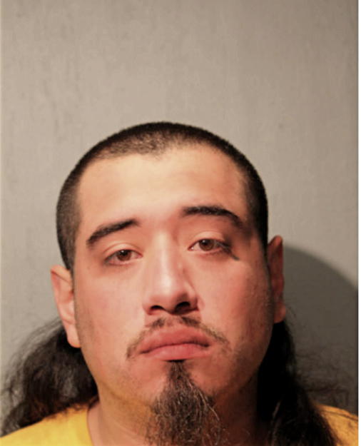 MIGUEL A NAVARRETE, Cook County, Illinois
