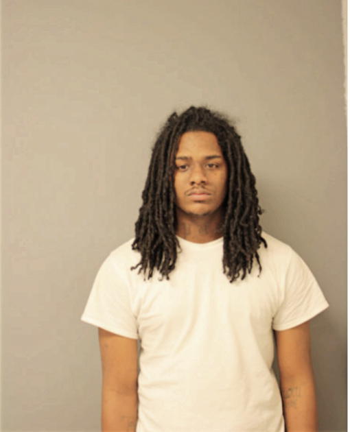 STEVAN F OWENS, Cook County, Illinois