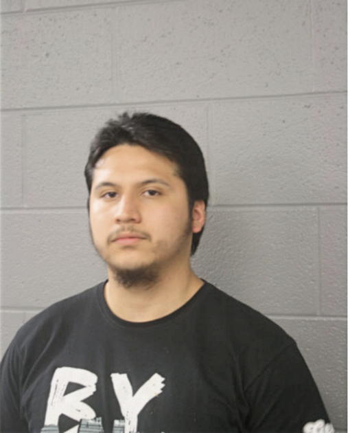 JOEL ROMAN, Cook County, Illinois