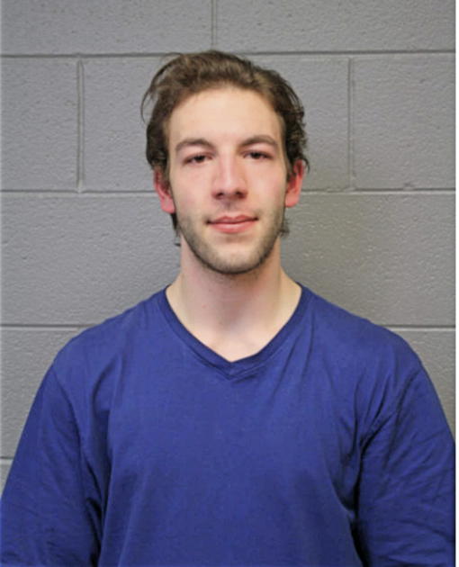 CLARK C WEAVER, Cook County, Illinois