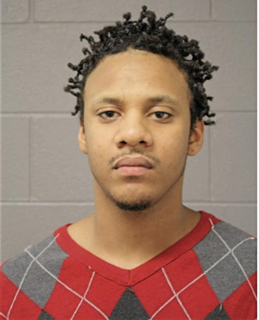 MICHEAL A WILLIAMS, Cook County, Illinois