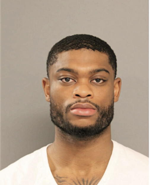 RAPHAEL R ABRAHAM, Cook County, Illinois
