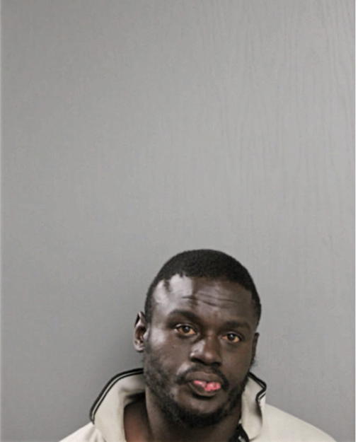 RICARDO L BRADLEY, Cook County, Illinois