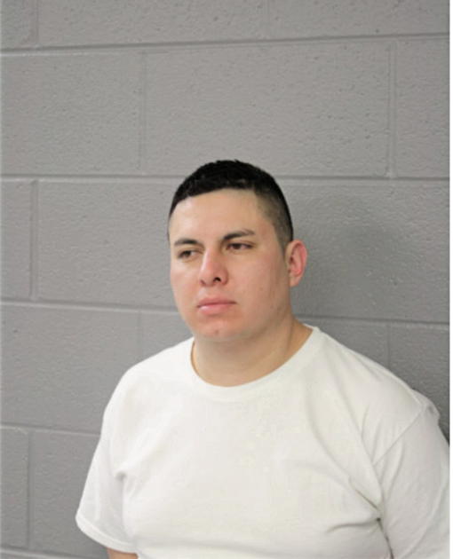 ERIK BRAVO, Cook County, Illinois