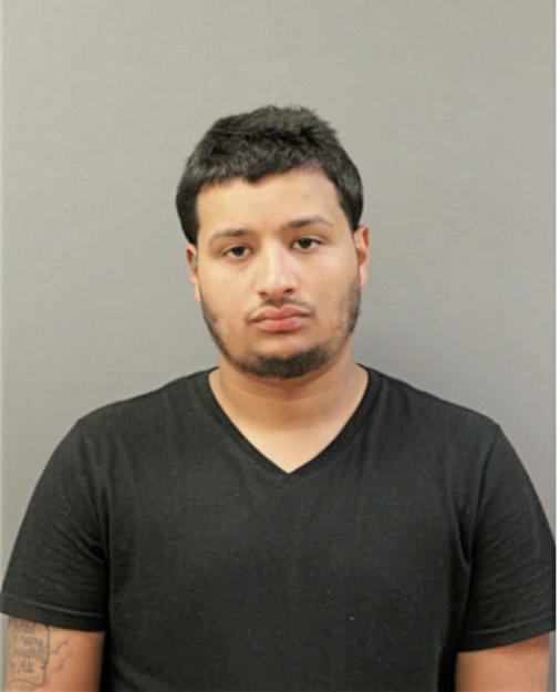 NICO A CARRASQUILLO, Cook County, Illinois