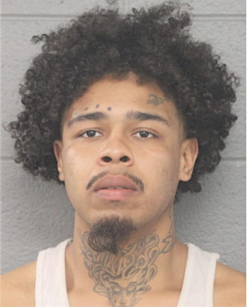 CHRISTOPHER D DAVIS, Cook County, Illinois