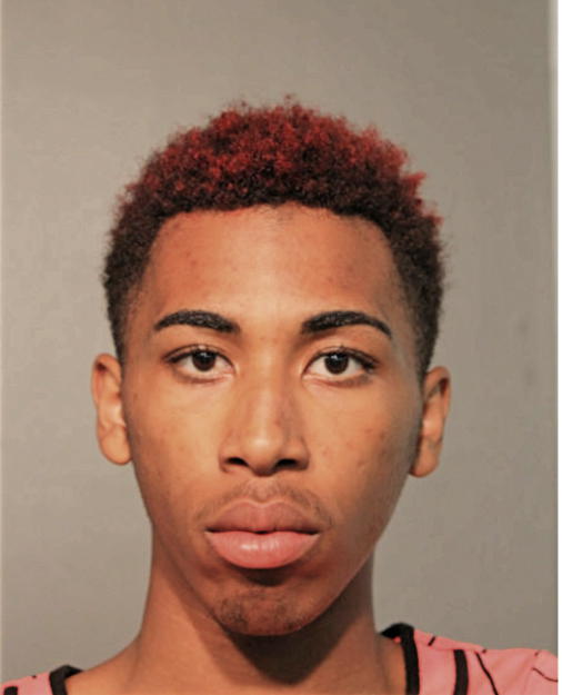 JUSTIN DAVIS, Cook County, Illinois