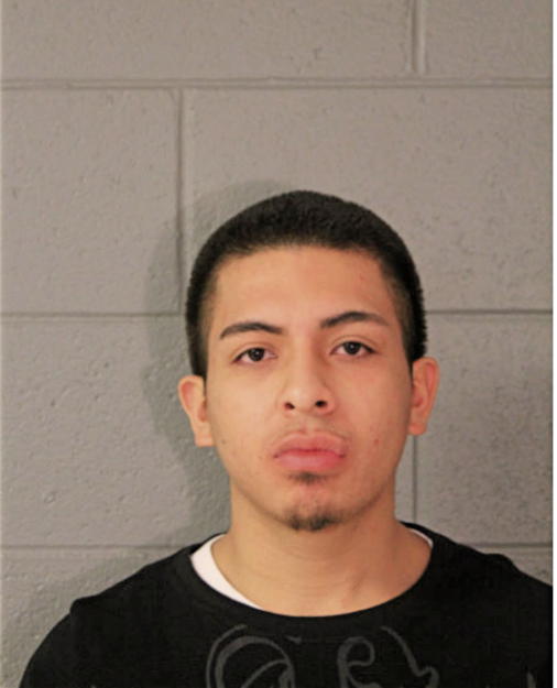 ERWIGN DELGADO, Cook County, Illinois
