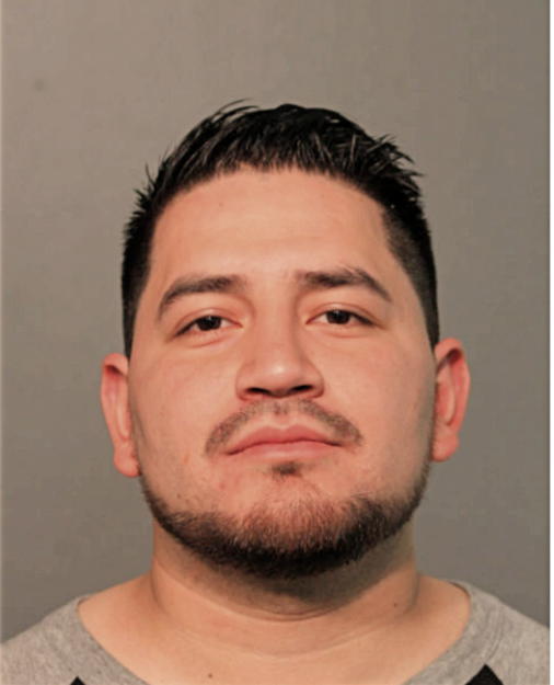 XAVIER A FLORES, Cook County, Illinois