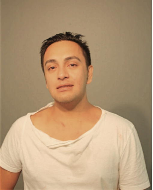 CARLOS GUEVARA-ANDRADE, Cook County, Illinois