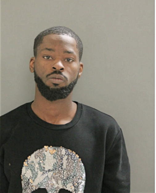 SEAN D HENDERSON, Cook County, Illinois