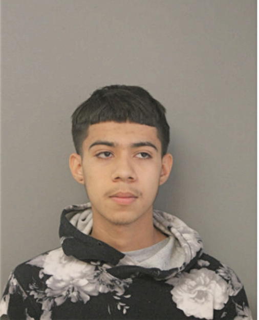 LUIS HERRERA, Cook County, Illinois