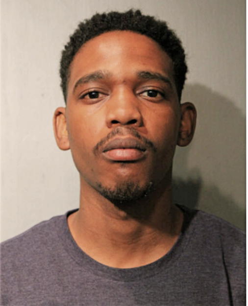BRANDEN D LEWIS, Cook County, Illinois
