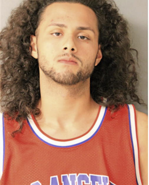 LUIS PABLO LOPEZ, Cook County, Illinois