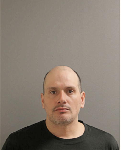 LUIS A MENDEZ, Cook County, Illinois