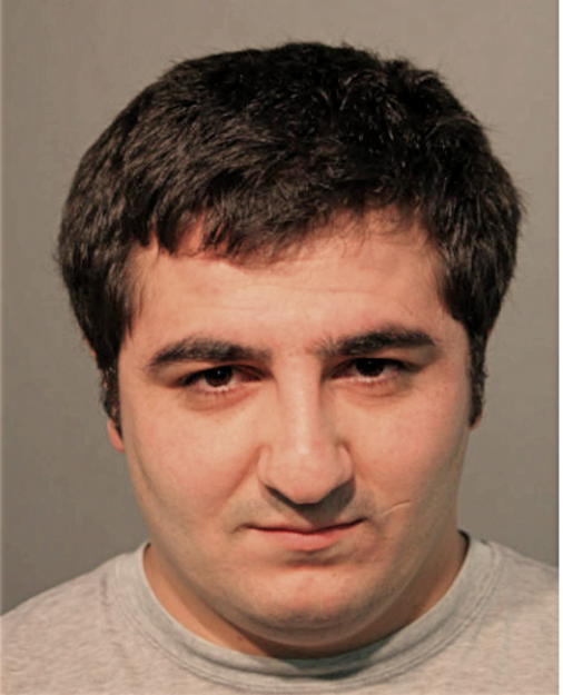 RAMIL MUSAEV, Cook County, Illinois