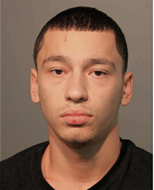 ALBERTO A RODRIGUEZ, Cook County, Illinois