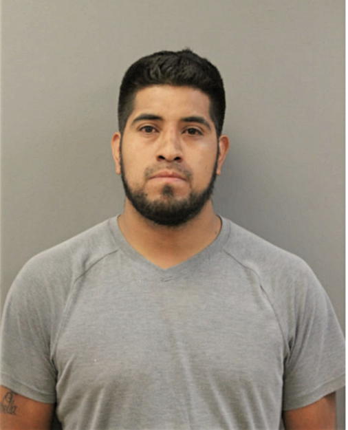 ALVARO SACHEZ, Cook County, Illinois