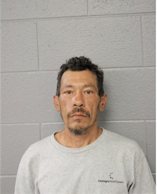 RENE F SALAZAR, Cook County, Illinois