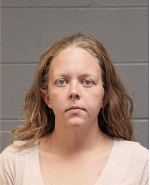 AMANDA L SCHWARTZ, Cook County, Illinois