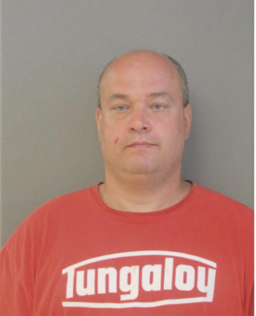 MICHAEL A STARCEVIC, Cook County, Illinois