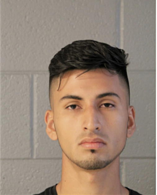 GERARDO IBARRA SUACEDO, Cook County, Illinois