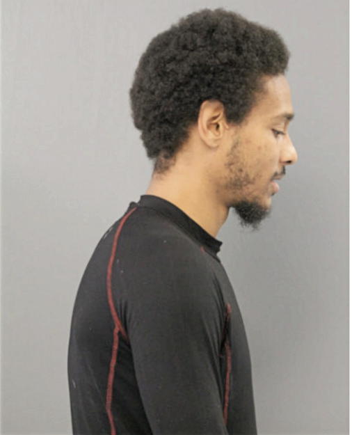 BRANDON WADE, Cook County, Illinois