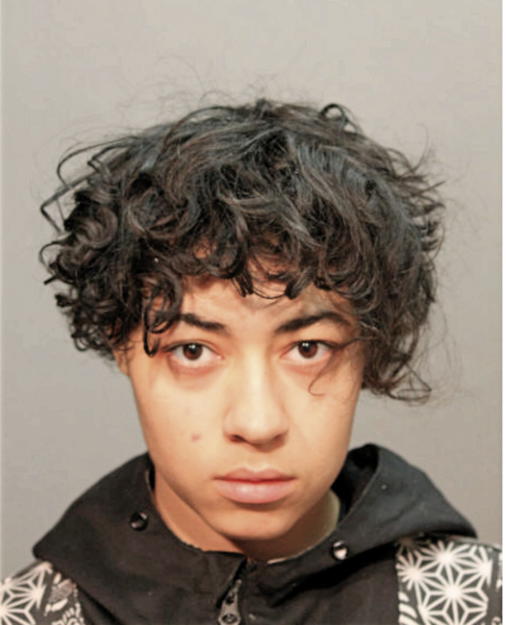 ZOE C WINSTON, Cook County, Illinois