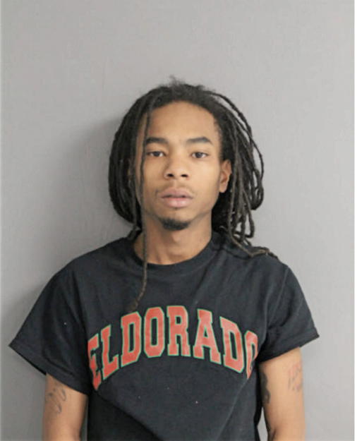KEVIN D ASHLEY, Cook County, Illinois