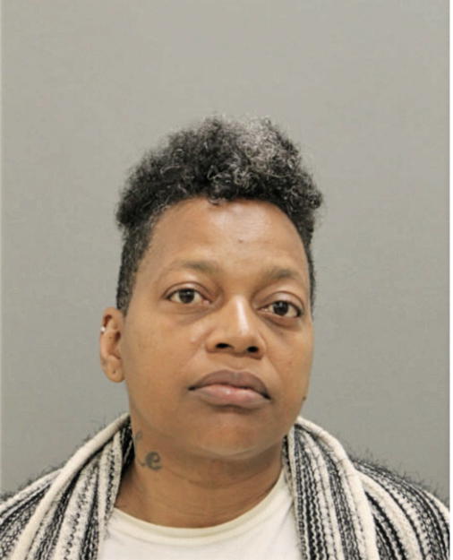 DEBRA R BOYD, Cook County, Illinois