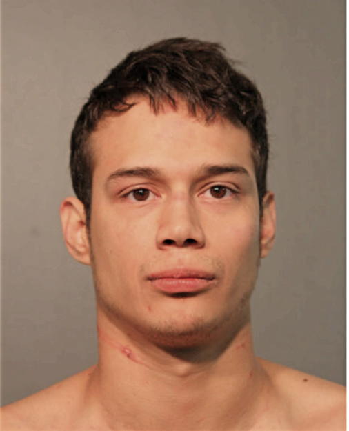 FRANCISCO A BRAVO, Cook County, Illinois