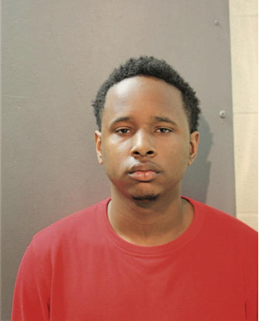 STEVEN C BROWN, Cook County, Illinois