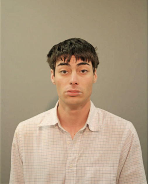 BRANDON N COX, Cook County, Illinois