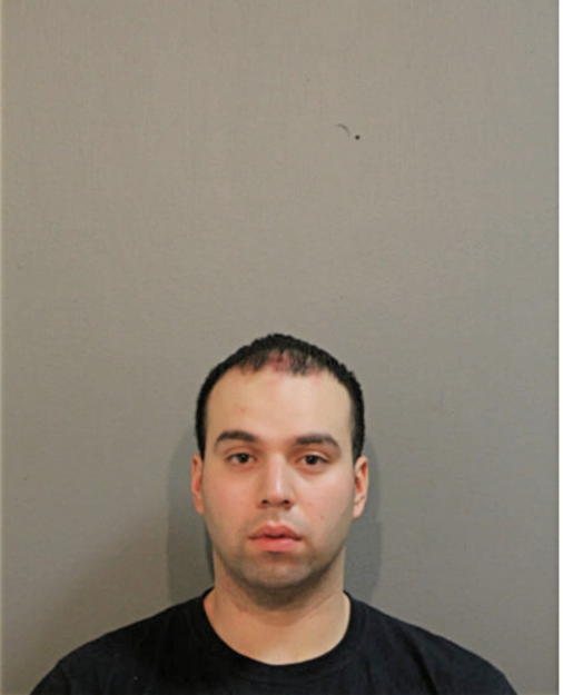 BRIAN A CRUZ, Cook County, Illinois