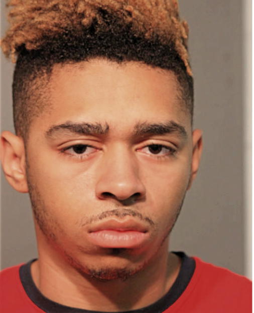 LERAUD KALEB DOTSON, Cook County, Illinois