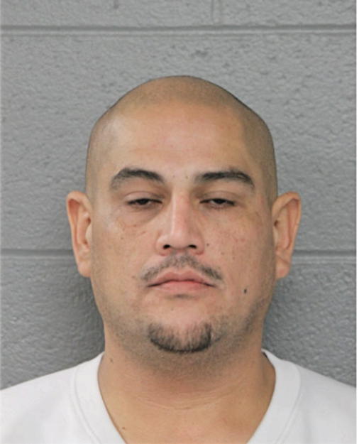 GONZALEZ ELVIS, Cook County, Illinois