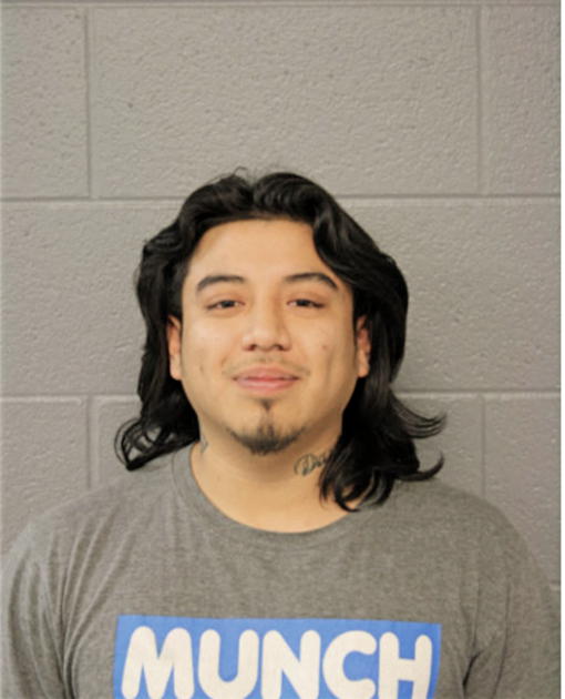 BRIAN S ENRIQUEZ, Cook County, Illinois