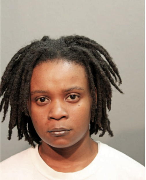 SHANNON J FERGUSON, Cook County, Illinois