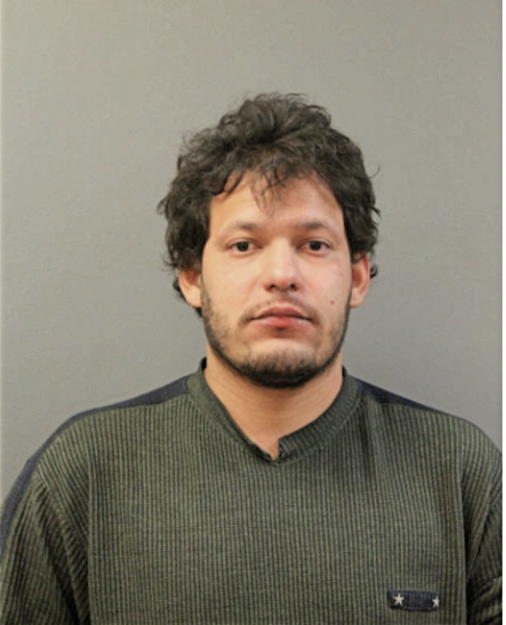 JOSE E FLORES, Cook County, Illinois