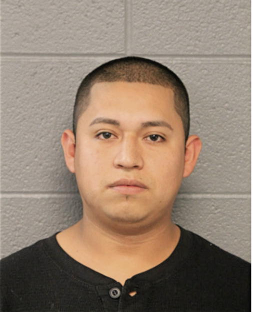 ELIAS GONZALEZ-SANTIAGO, Cook County, Illinois