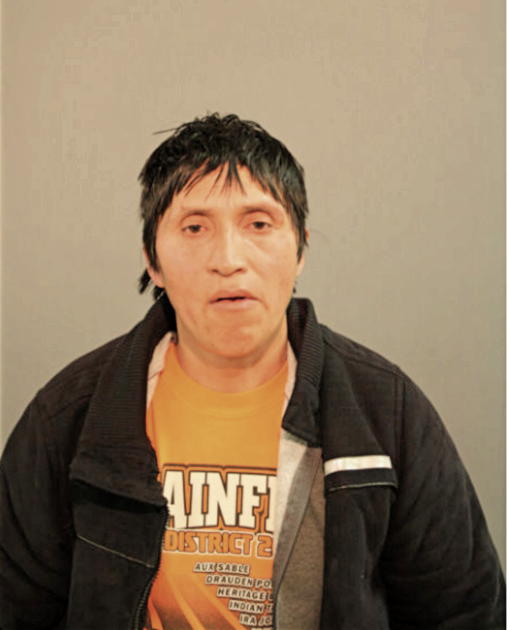 RAFAEL GUAMAN, Cook County, Illinois