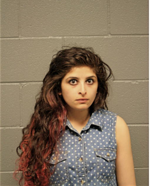 ROBA A HASSAN, Cook County, Illinois