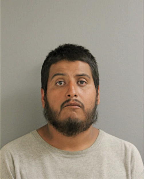 ALIPONAR JUAREZ, Cook County, Illinois