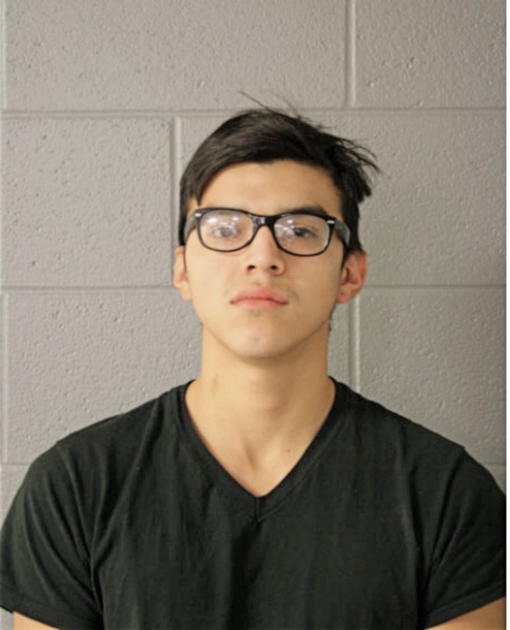 ALVARO` PADILLA, Cook County, Illinois