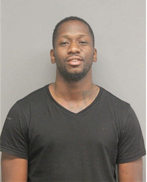 REGINALD R PATTERSON, Cook County, Illinois