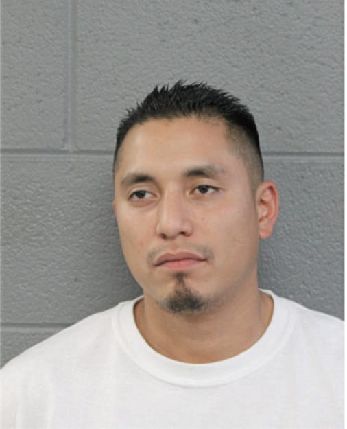 ADONIS J SALGADO, Cook County, Illinois